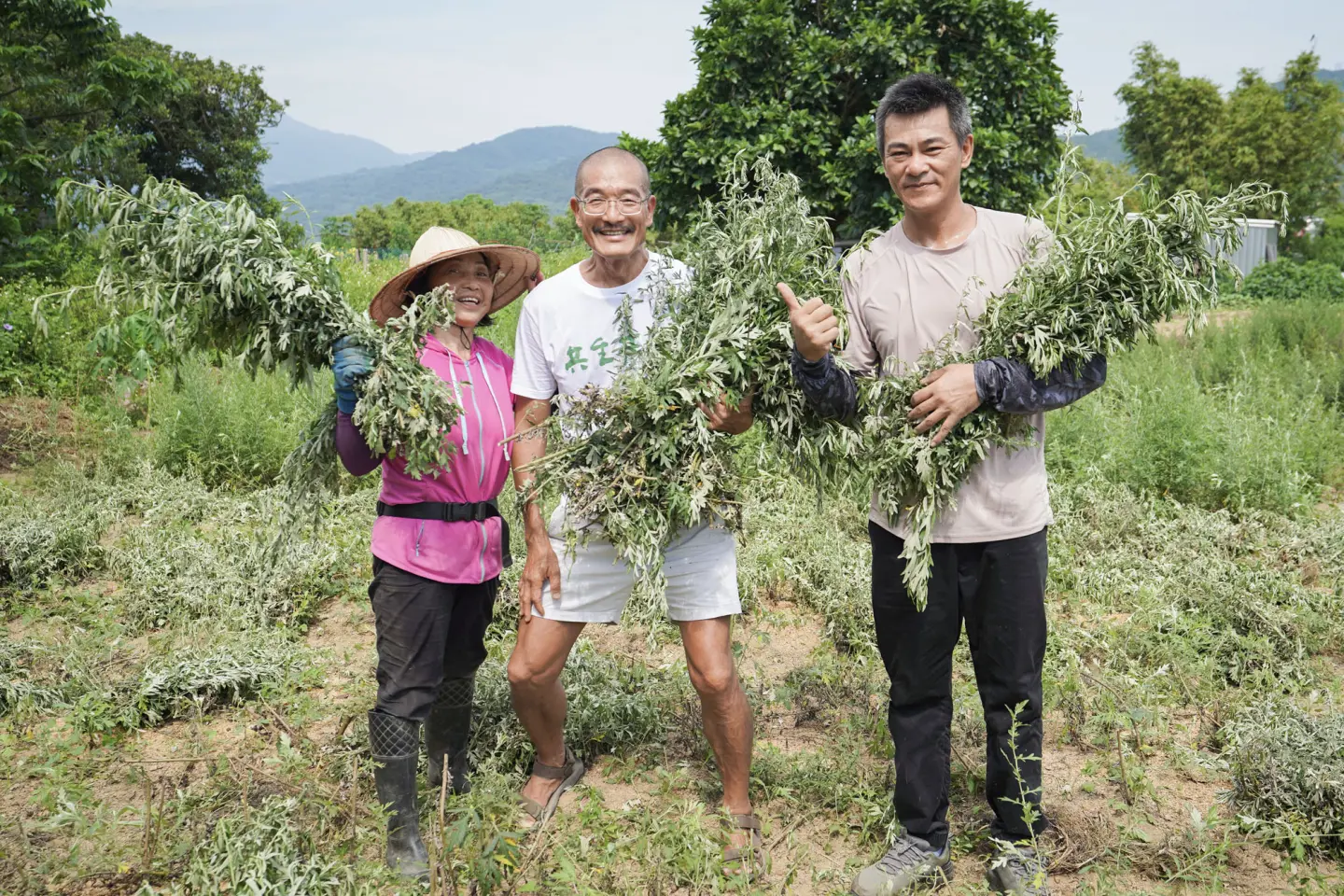 有機艾草收成_農友林紅甘(左)、創辦人江榮原(中)、地方創生總監蔡漢昌(右)(圖片來源：阿原)