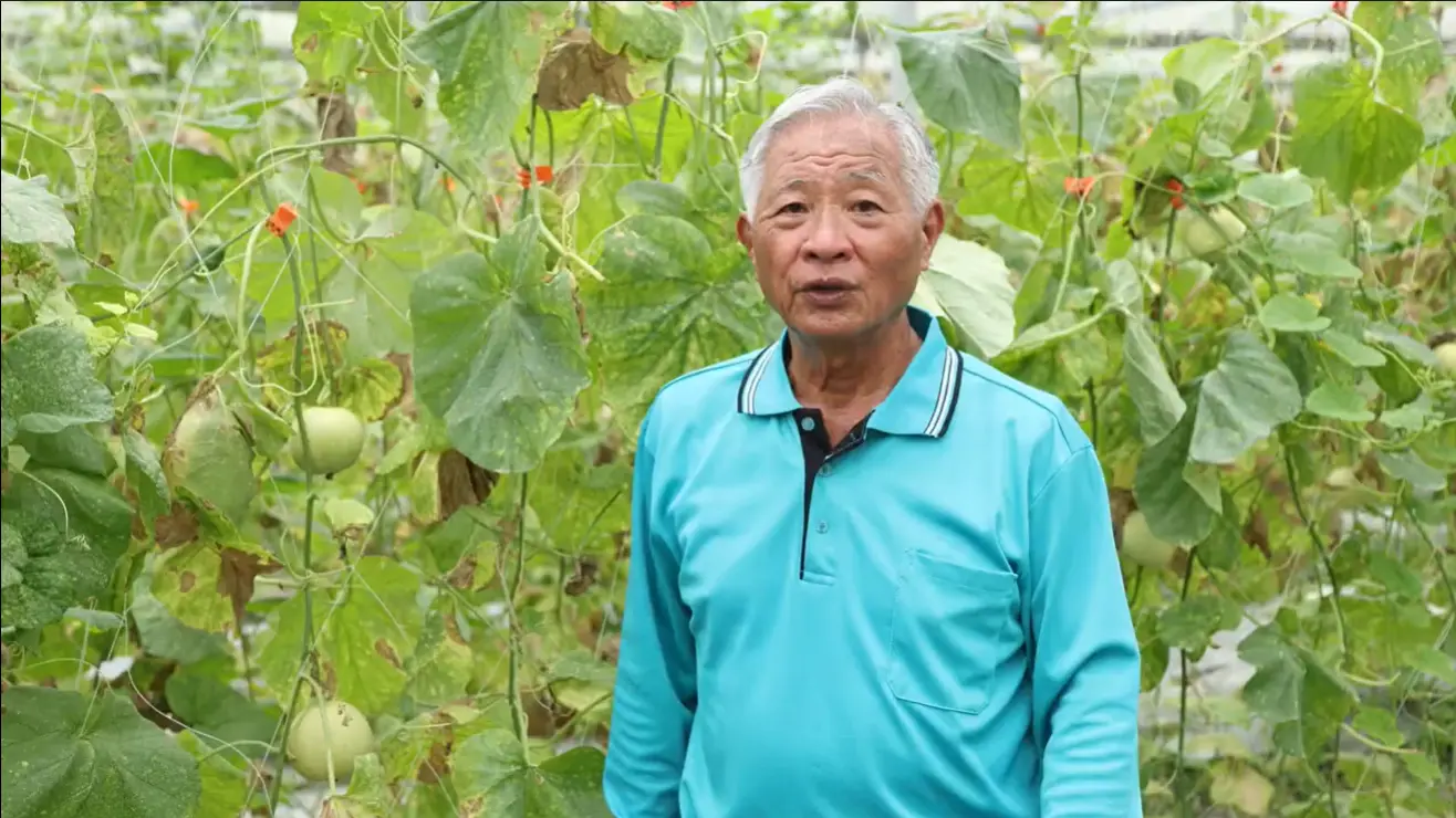 圖片來源／《臺灣神農傳》製片人 紀伶育