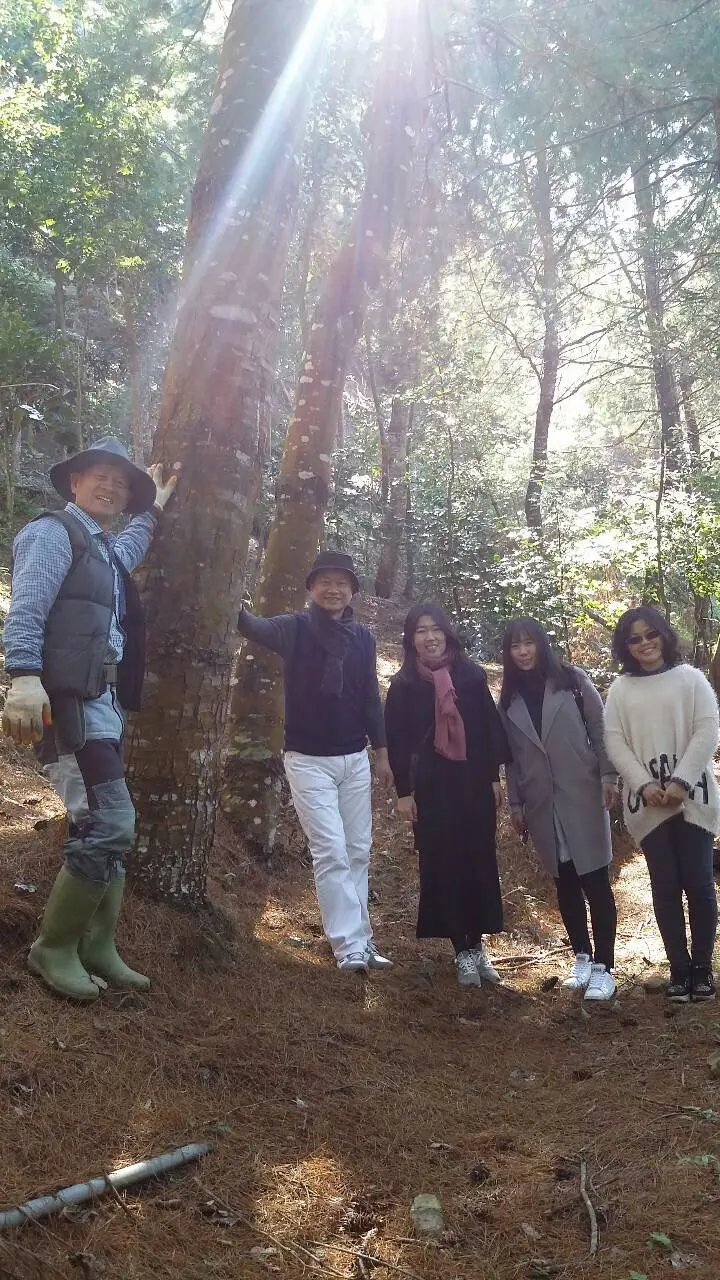 陳健宏每天從臺北市區上山，沿路撿拾地上的垃圾或枯枝，回饋山林並體現生命的價值。（圖片來源／陳健宏）