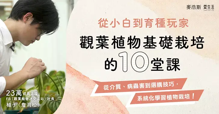  圖片來源／城邦自慢塾
