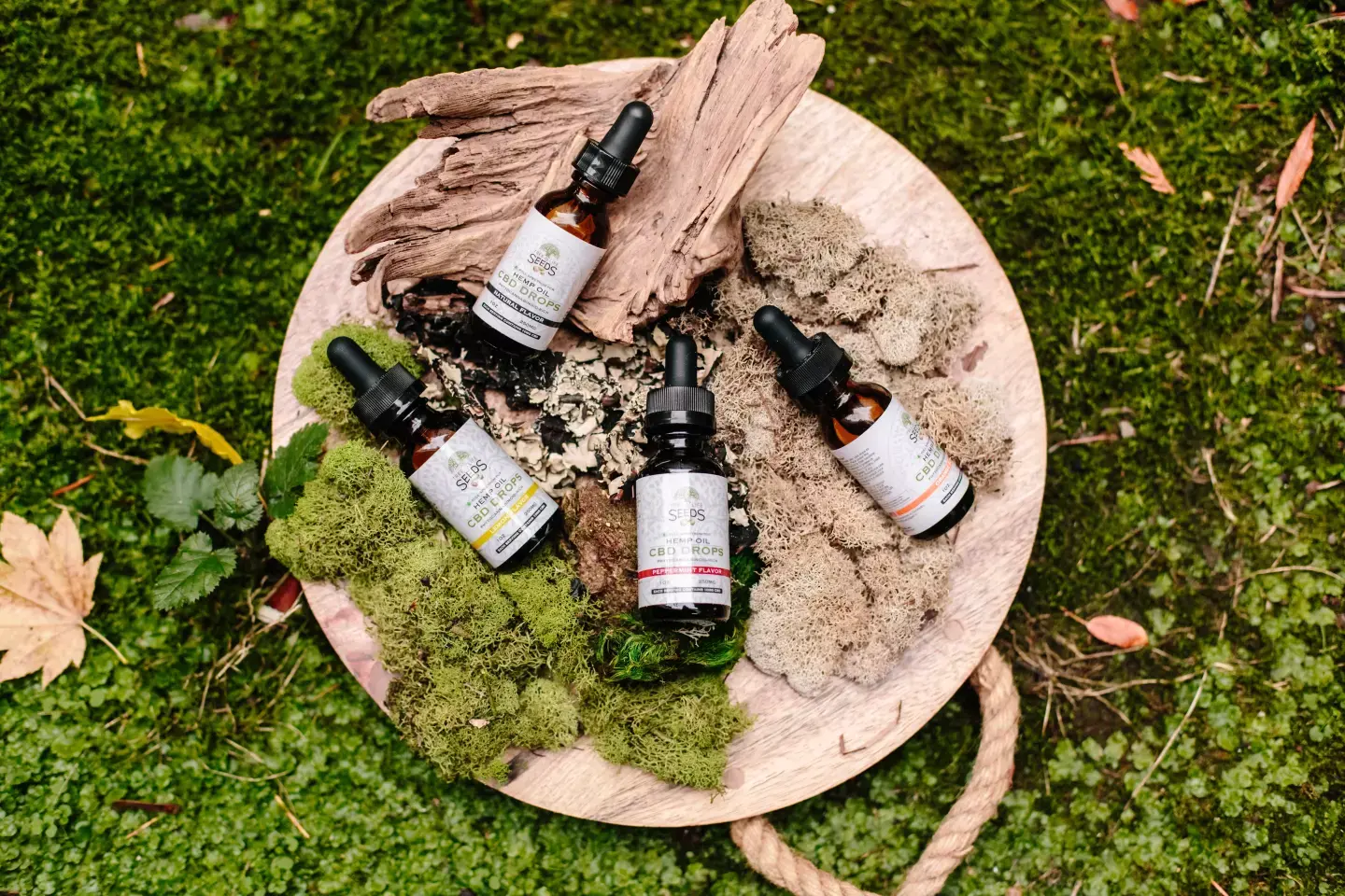 圖片來源/Pexels@Tree of Life Seeds 圖片來源/Pexels@Tree of Life Seeds