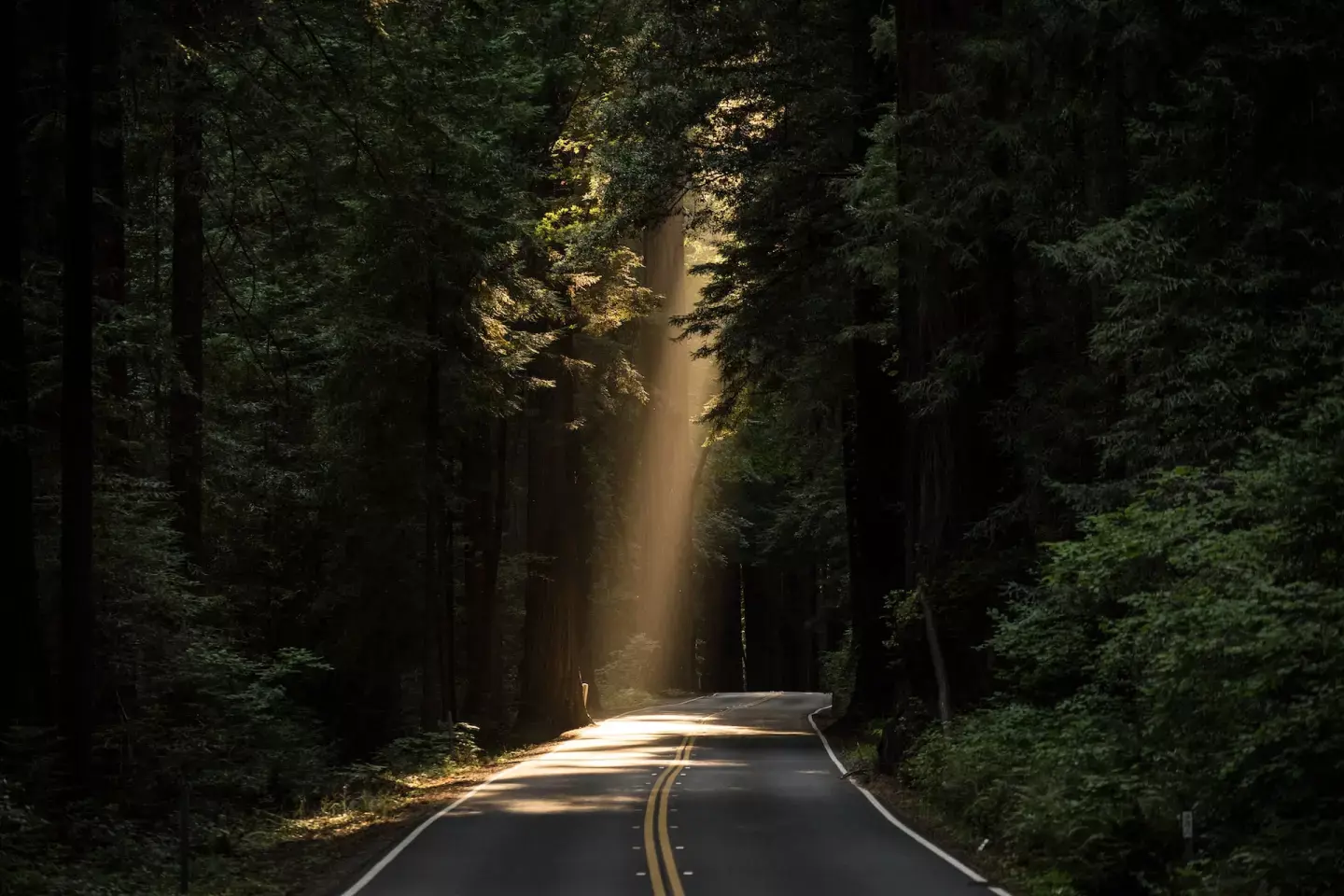 圖片來源:unsplash@JOHN TOWNER 圖片來源:unsplash@JOHN TOWNER