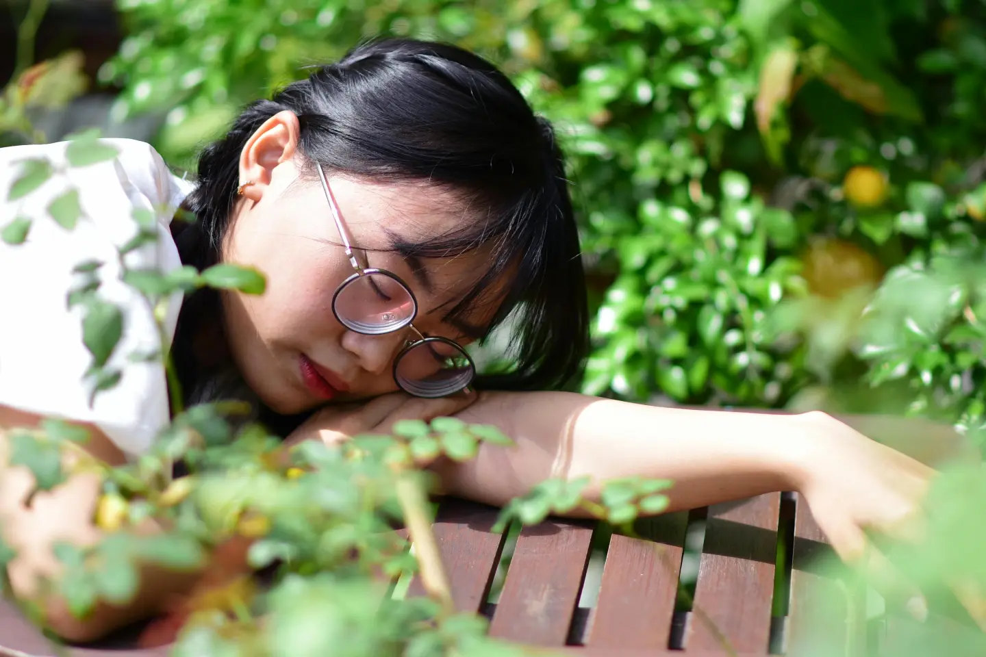 圖片來源/pexels@Sóc Năng Động 圖片來源/pexels@Sóc Năng Động