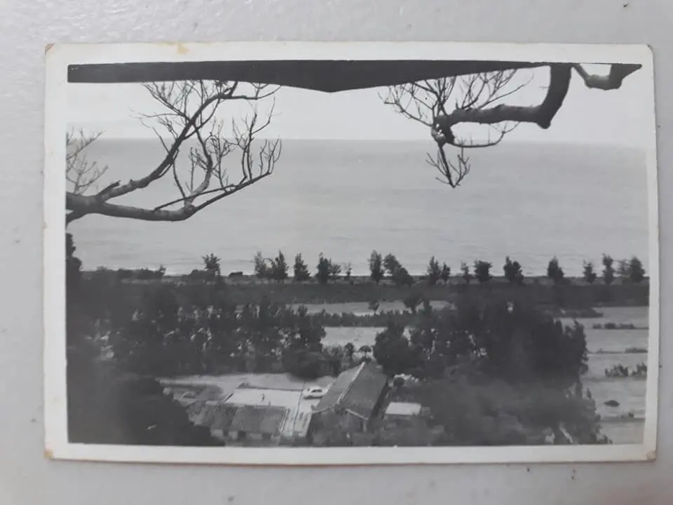 出生於後灣村的楊美雲說，兒時食物大多來自大自然，只要勤勞，就能從野外獲取所需，讓她體會過大自然豐盛的資源。（圖片來源／楊美雲）