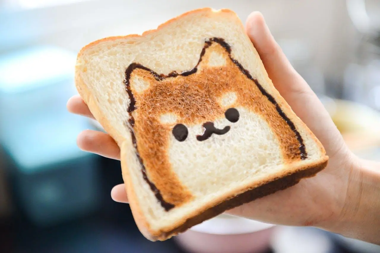 圖片來源/pexels@Cats Coming 圖片來源/pexels@Cats Coming