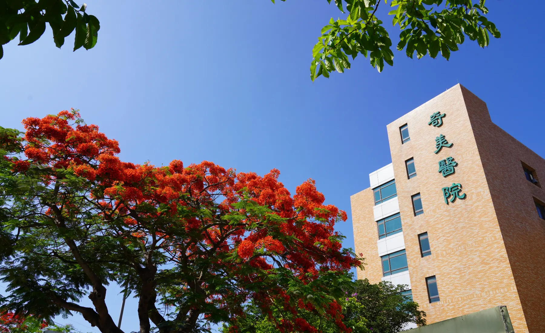 土磚色的建築在藍天的襯托下顯得溫暖而有生氣，與大眾對醫院「白色巨塔」的印象截然不同。（圖片來源／柳營奇美醫院）