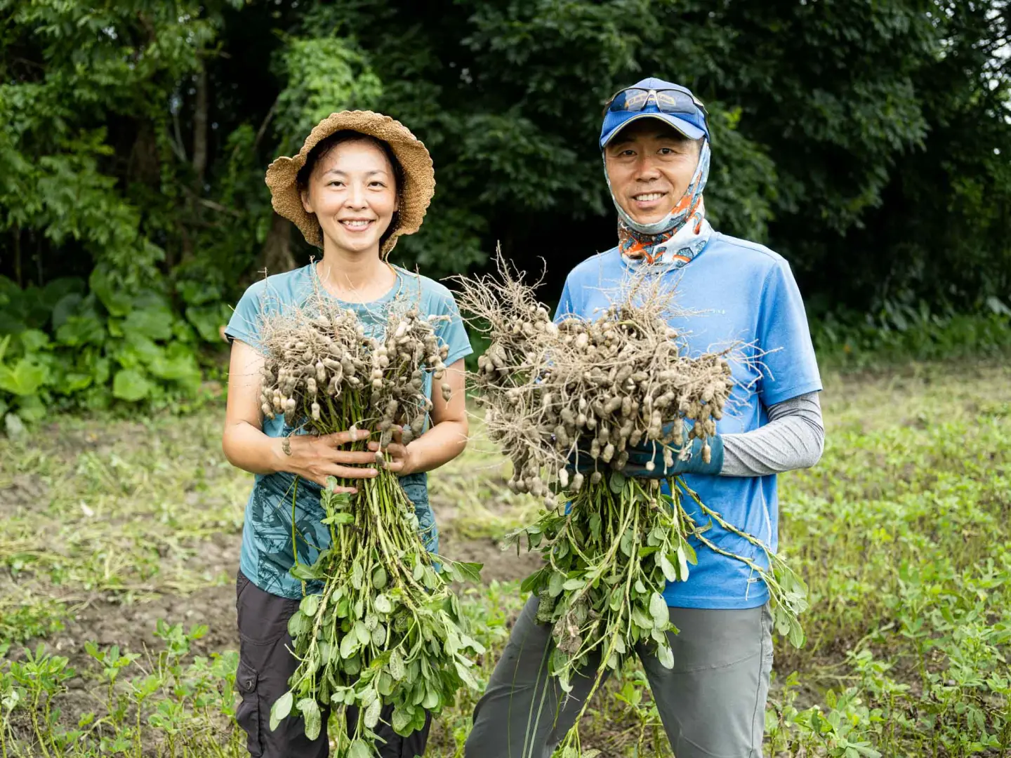 為能顧及花生的品質,鍾順龍夫婦開始學種花生,親自耕作。(圖片來源/鍾順龍、梁郁倫) 為能顧及花生的品質,鍾順龍夫婦開始學種花生,親自耕作。(圖片來源/鍾順龍、梁郁倫)