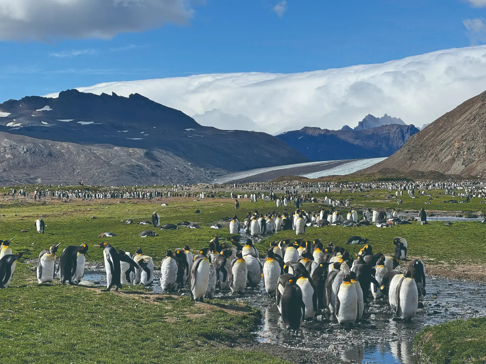 平路認為，當人們離開熟悉的環境，反而更能看見自我。（圖片來源／時報出版社）
