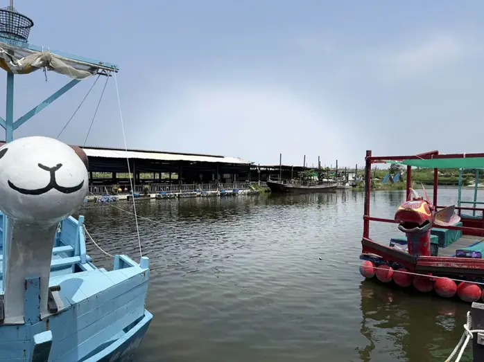蔡恭和推動復興的海底龍鬚菜養殖池,採低水位、緩流設計,兼具淨水與碳匯潛力。(圖片來源/蔡恭和) 蔡恭和推動復興的海底龍鬚菜養殖池,採低水位、緩流設計,兼具淨水與碳匯潛力。(圖片來源/蔡恭和)