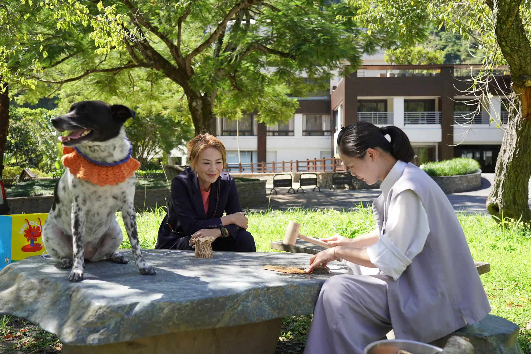 「妹妹」是太魯閣晶英的成員之一，在不同的活動現場，都能看到牠的可愛身影喔。（攝影／葉仁琛）