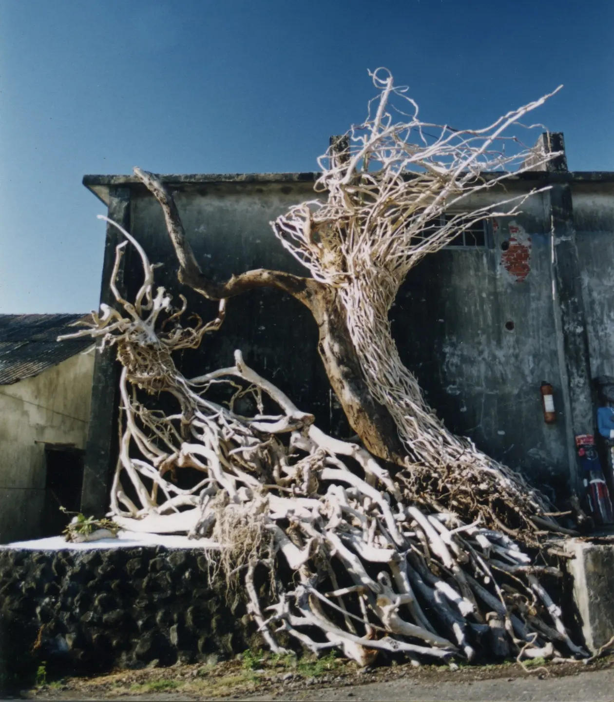 在都蘭糖廠展出的《穿越》，是以漂流木創作的大型裝置作品，線條如土石流般洶湧，呈現藝術家與自然、創傷及夢境的對話。（圖片來源／安聖惠）