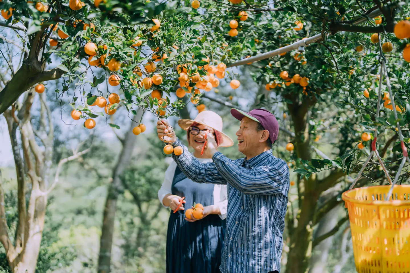 扎根於泥土、熟成於人情的臺式果醬，在舌尖勾勒出獨特而豐富的在地滋味。（圖片來源／柯亞）