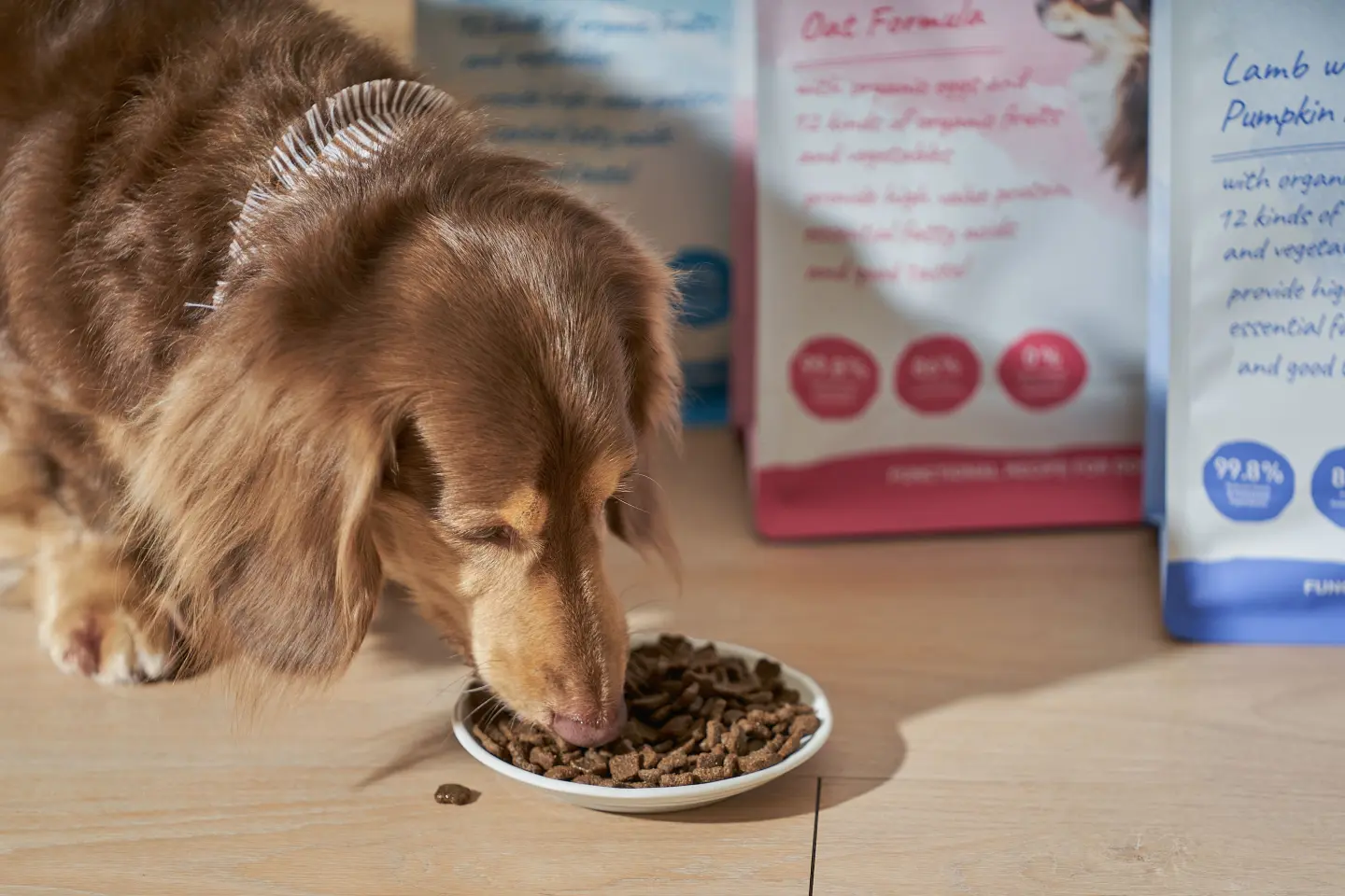 倍力寵物健康食品旗下犬糧與貓糧,以通過 AAFCO 餵食測試的科學實證,守護台灣貓狗的健康。(資料來源:倍力寵物健康食品) 倍力寵物健康食品旗下犬糧與貓糧,以通過 AAFCO 餵食測試的科學實證,守護台灣貓狗的健康。(資料來源:倍力寵物健康食品)