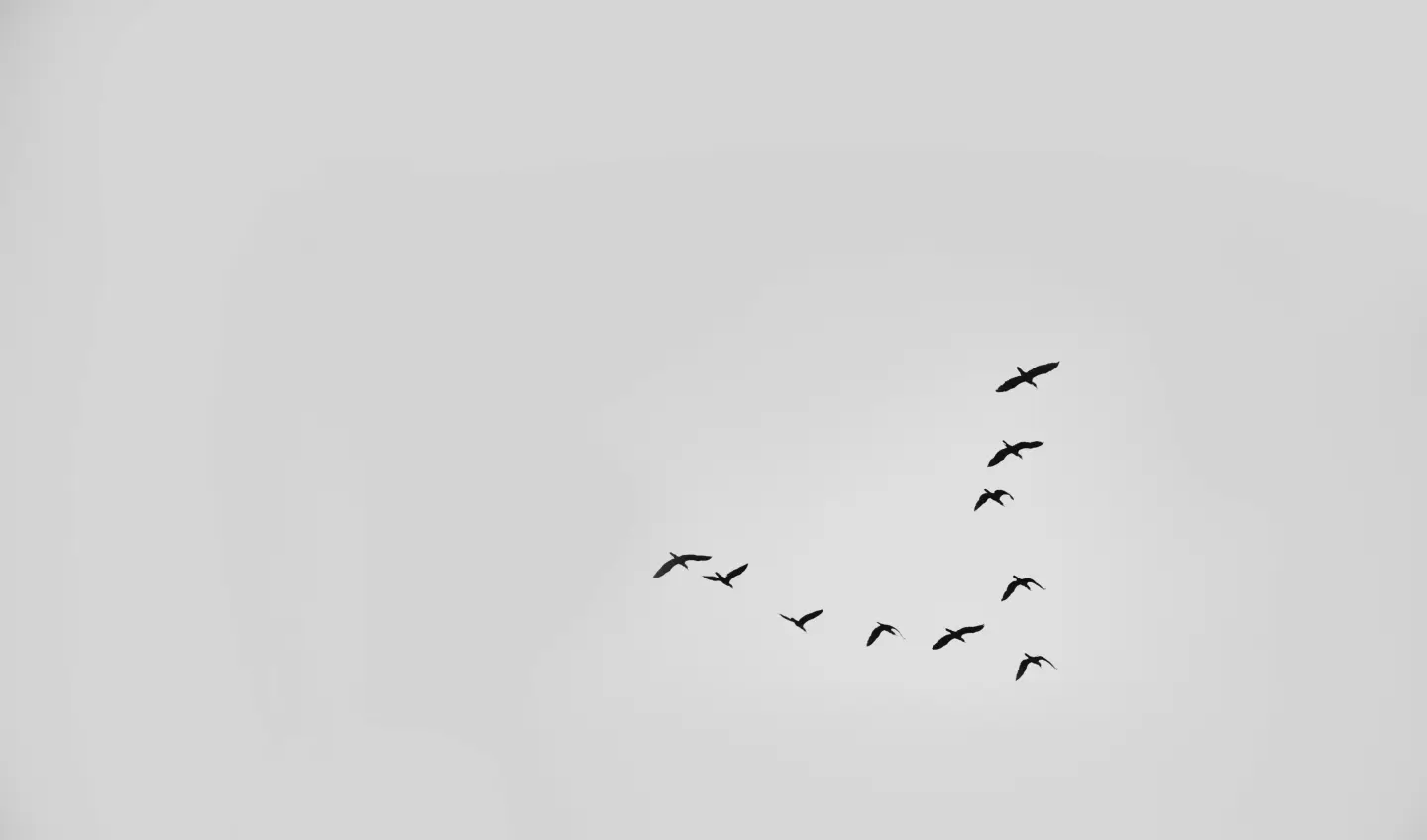 圖片來源／Pexels@abshky