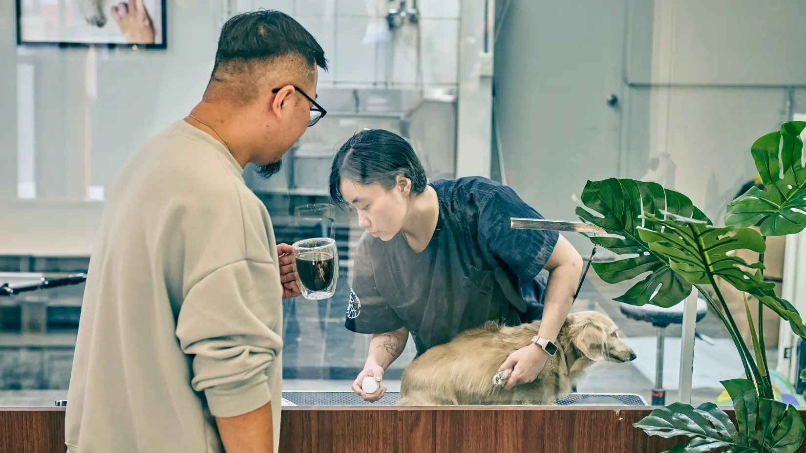 哈哈窩中和積穗店一站式服務，提供飼主與寵物放鬆的空間。（圖片來源／哈哈窩提供）