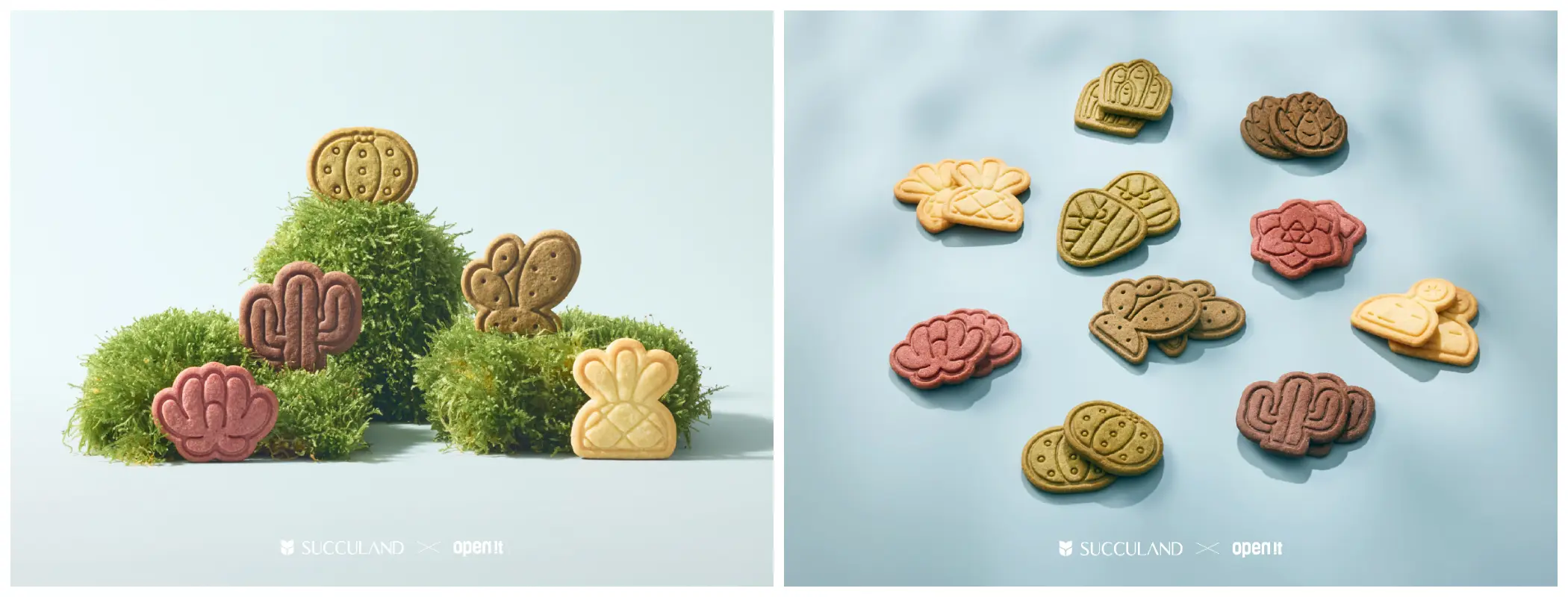 多肉植物造型餅乾(圖片來源/有肉 SUCCULAND) 多肉植物造型餅乾(圖片來源/有肉 SUCCULAND)