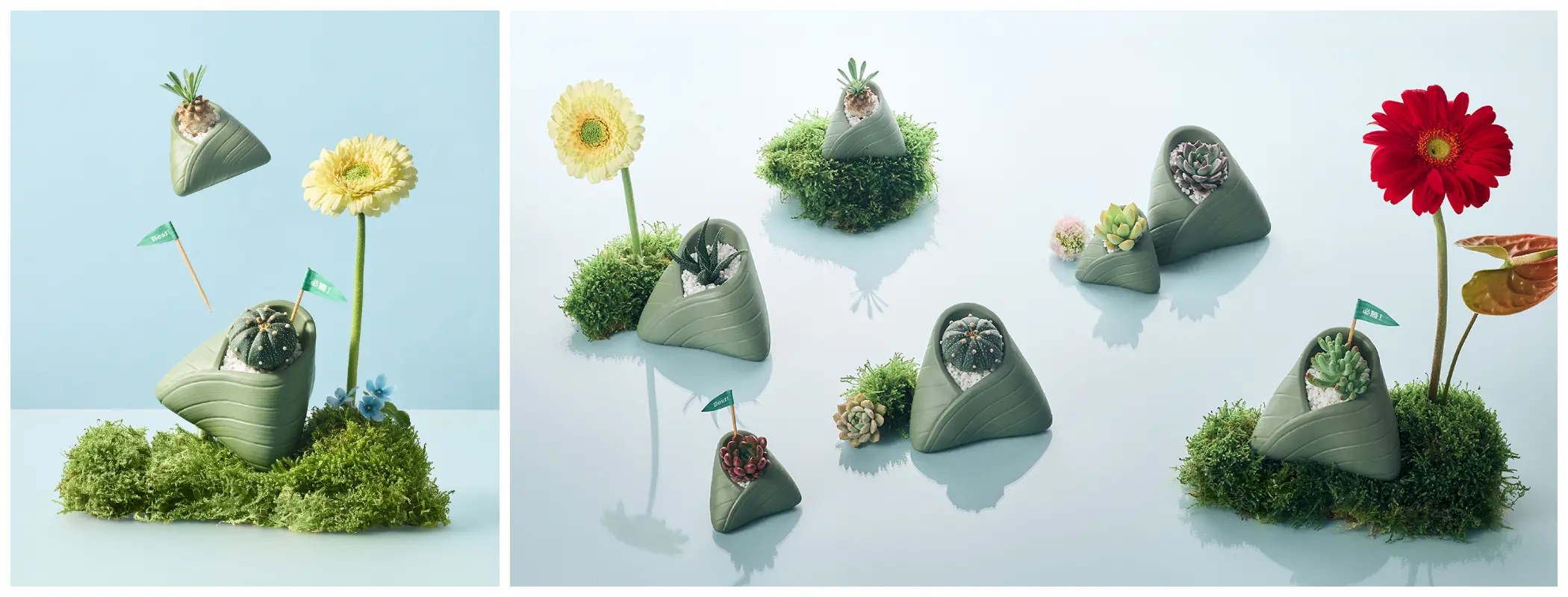 粽型植栽(圖片來源/有肉 SUCCULAND) 粽型植栽(圖片來源/有肉 SUCCULAND)