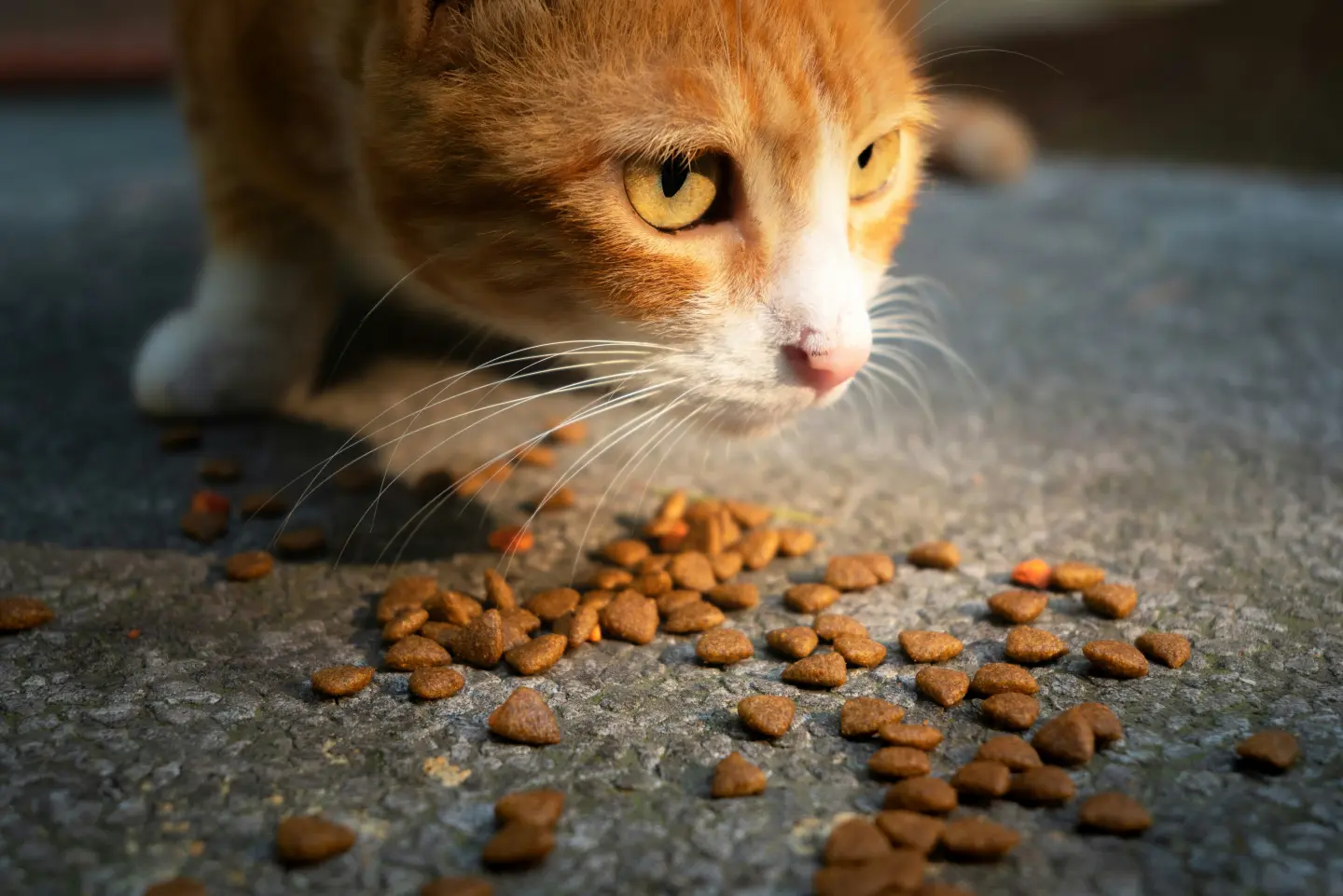 圖片來源／Unsplash