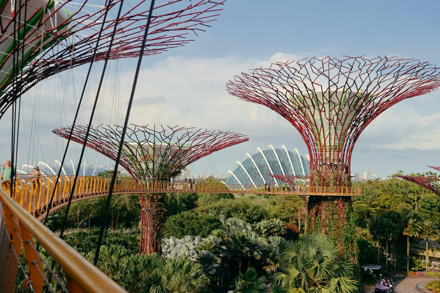 圖片來源/pexels 圖片來源/pexels