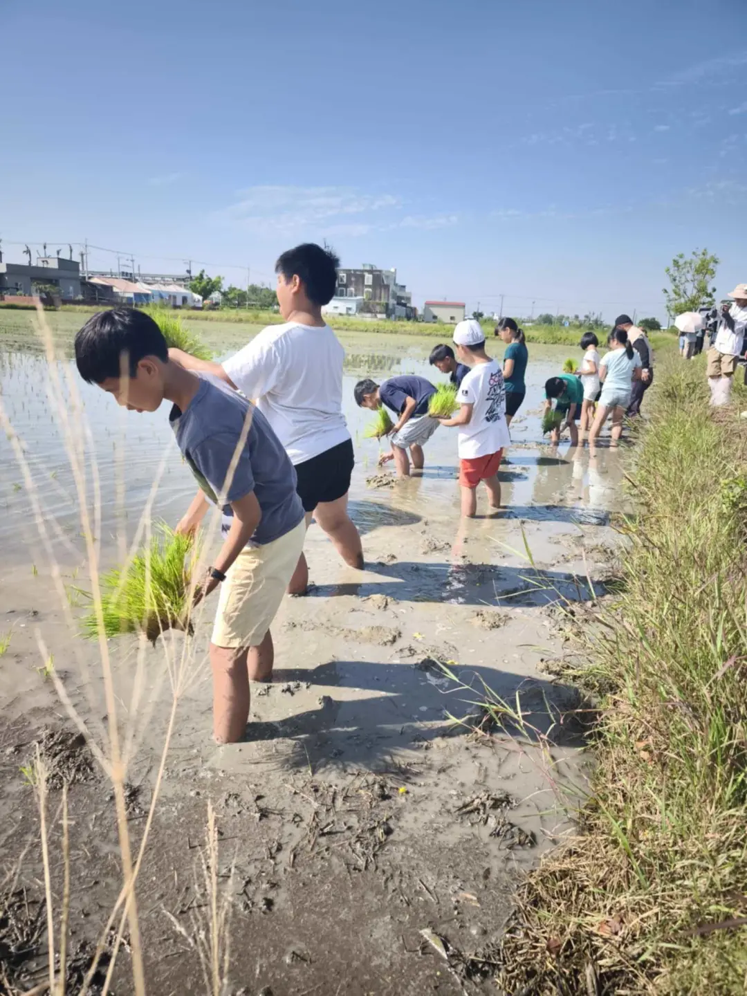 後壁農業發達，比起成績，讓孩子認識自己的家鄉，走進田間實作種田、種稻，在過程中慢慢找到自己的位置。（圖片來源／黃雅聖）
