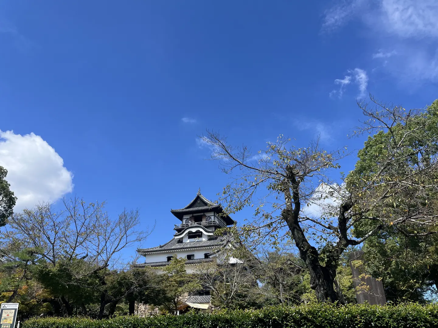 圖片來源／Flora Lin