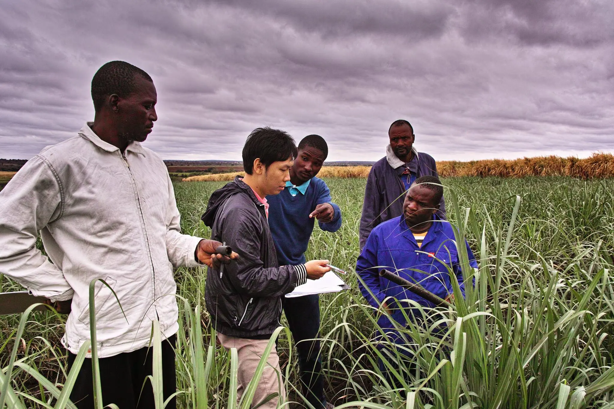 圖片來源／日日好食