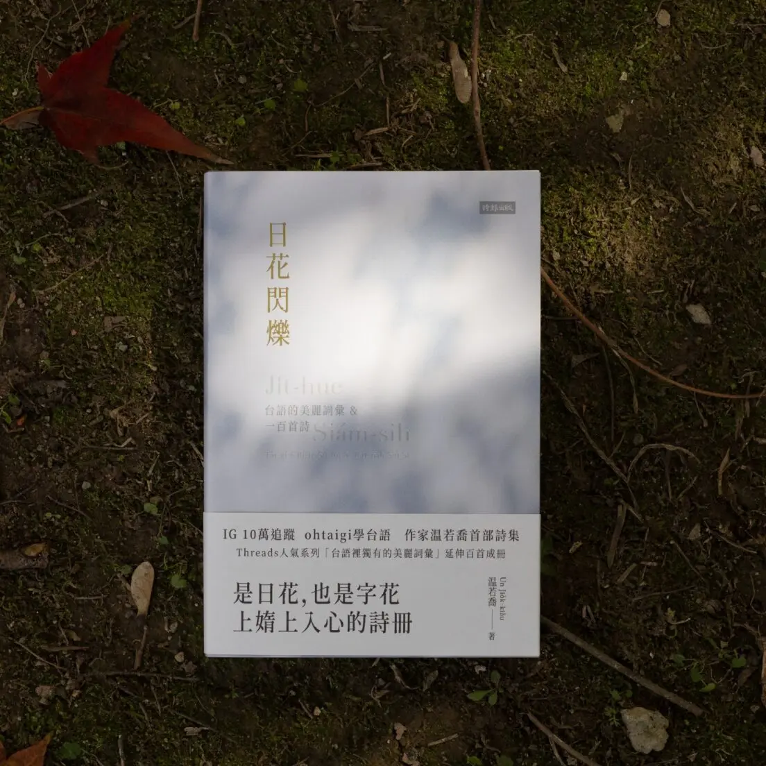 從社群延伸而成的詩集《日花閃爍:台語的美麗詞彙&一百首詩》,將語言轉化為當代創作。(圖片來源/時報出版社) 從社群延伸而成的詩集《日花閃爍:台語的美麗詞彙&一百首詩》,將語言轉化為當代創作。(圖片來源/時報出版社)